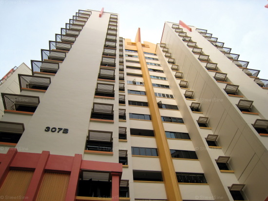 Blk 307B Anchorvale Road (S)542307 #312412